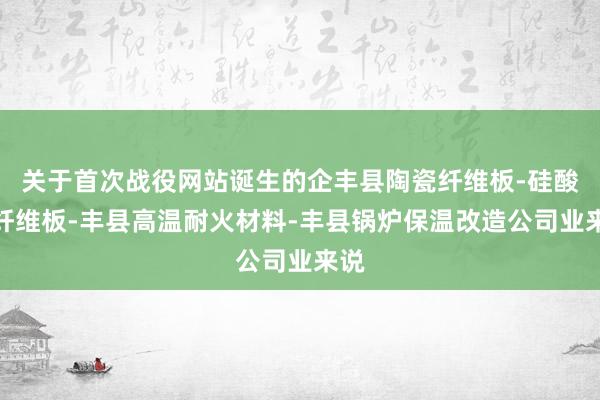 关于首次战役网站诞生的企丰县陶瓷纤维板-硅酸铝纤维板-丰县高温耐火材料-丰县锅炉保温改造公司业来说