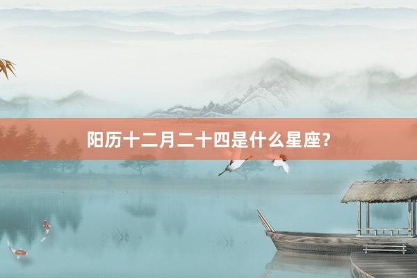 阳历十二月二十四是什么星座？